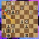 Avatar of Crunchy Chessnut in WORLDCHESS ratings